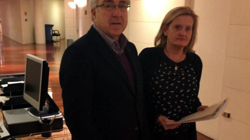 zamora psoe rominguera fernando congreso