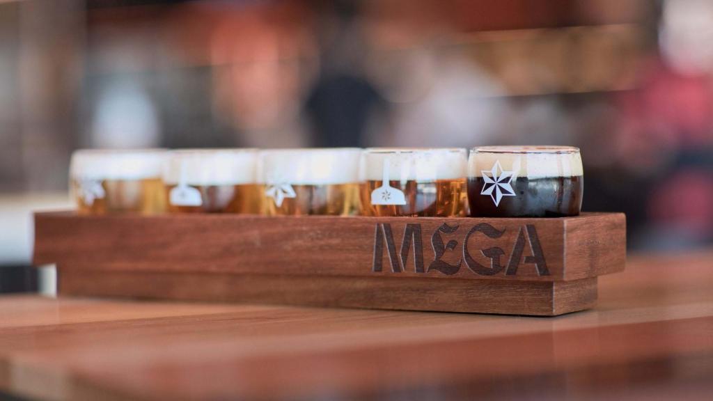 El museo Mega de Estrella Galicia celebra la cosecha del lúpulo