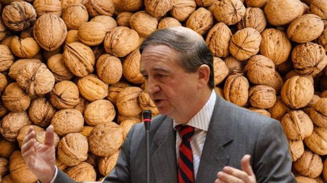 Millones de nueces han sepultado la cuenta de Twitter de Iñaki Anasagasti