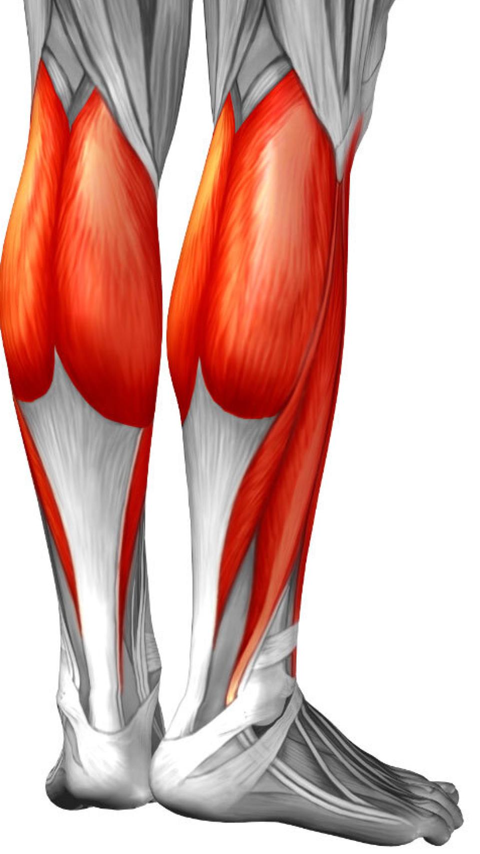 Juan recibió una cornada, de 20 centímetros, a la altura del gemelo izquierdo.