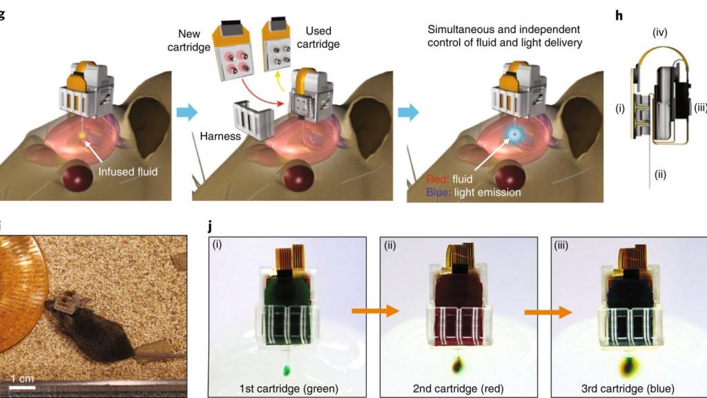 Implante probado en ratones