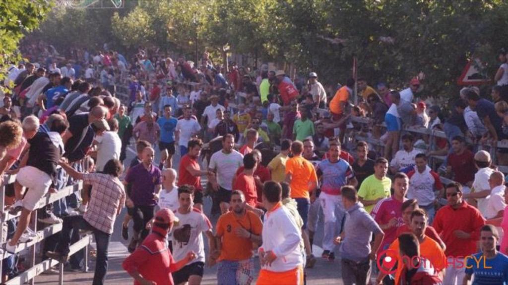 encierro medina del campo fiestas san antolin 89