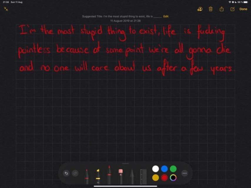 Insultos en la app de iOS