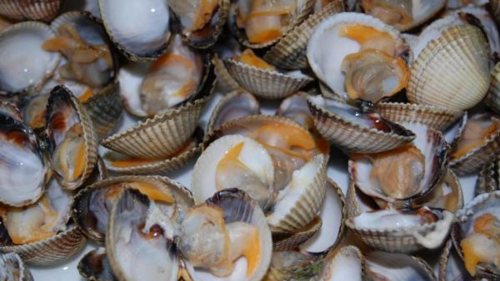 Fiesta del Berberecho de Baldaio