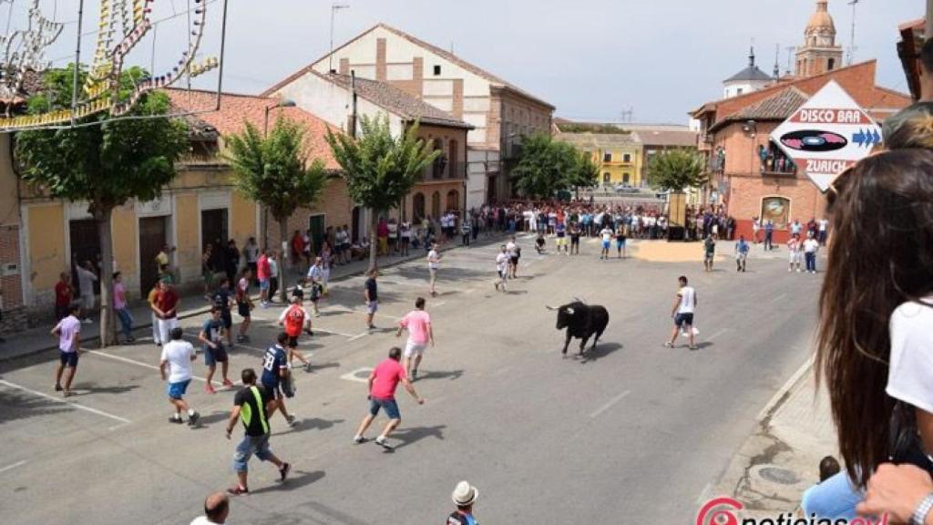 toro verdejo fiestas rueda 2017 7
