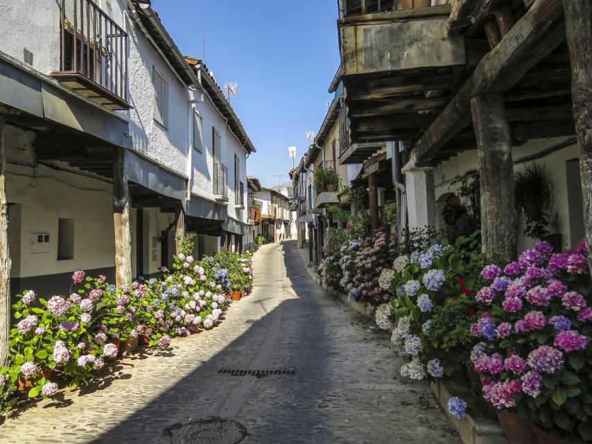 Calle Ruperto Cordero.