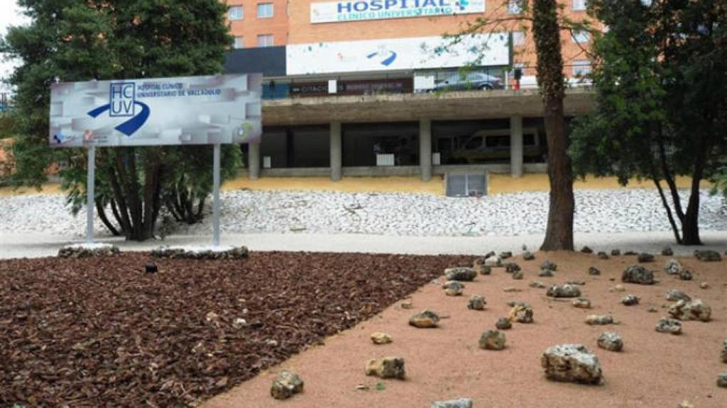 El hombre herido ha sido trasladado en helicóptero al Hospital de Valladolid