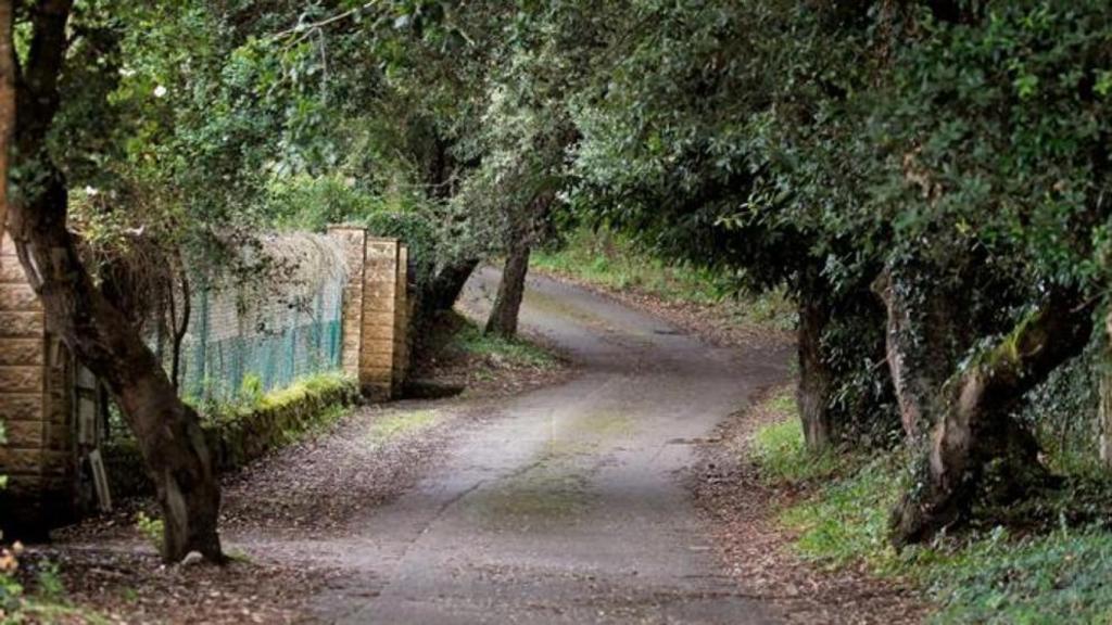 Camino en el que aparece el cuerpo del edil, donde sufrió la emboscada mortal.