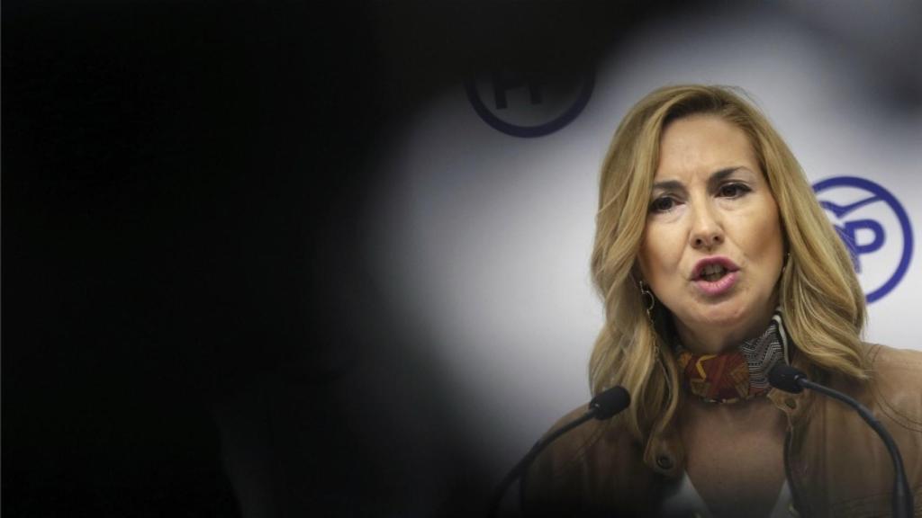 Durante la última legislatura, ejerció una férrea oposición al nacionalismo en Navarra.