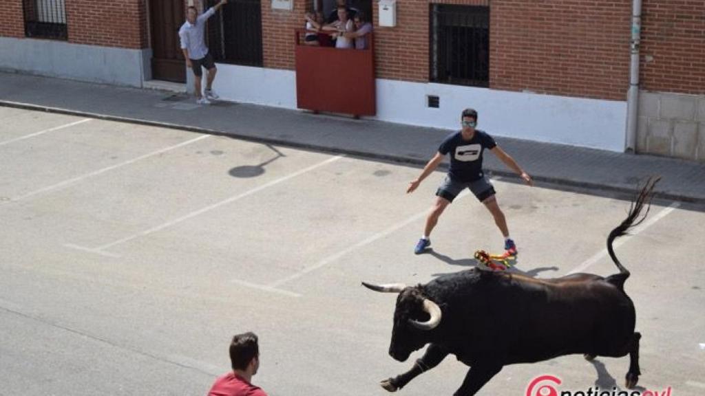 toro verdejo fiestas rueda 2017 5