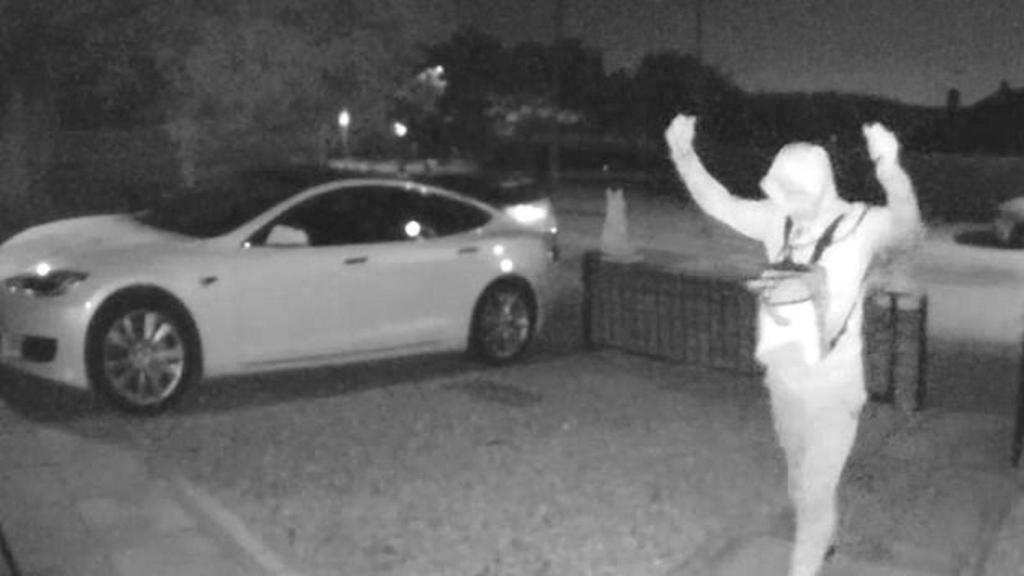 Presuntos ladrones robando un Tesla