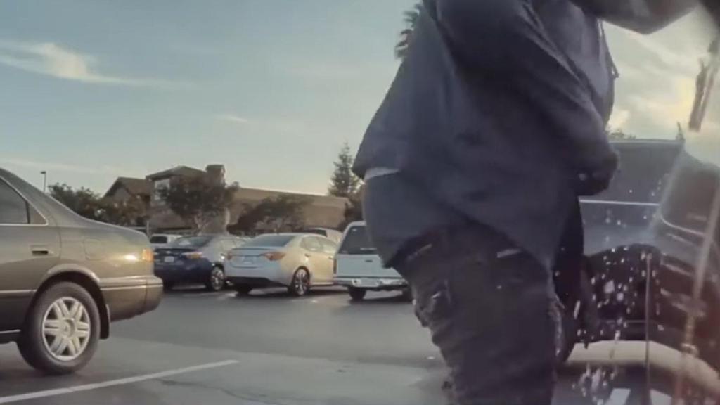 Robo capturado por un Tesla