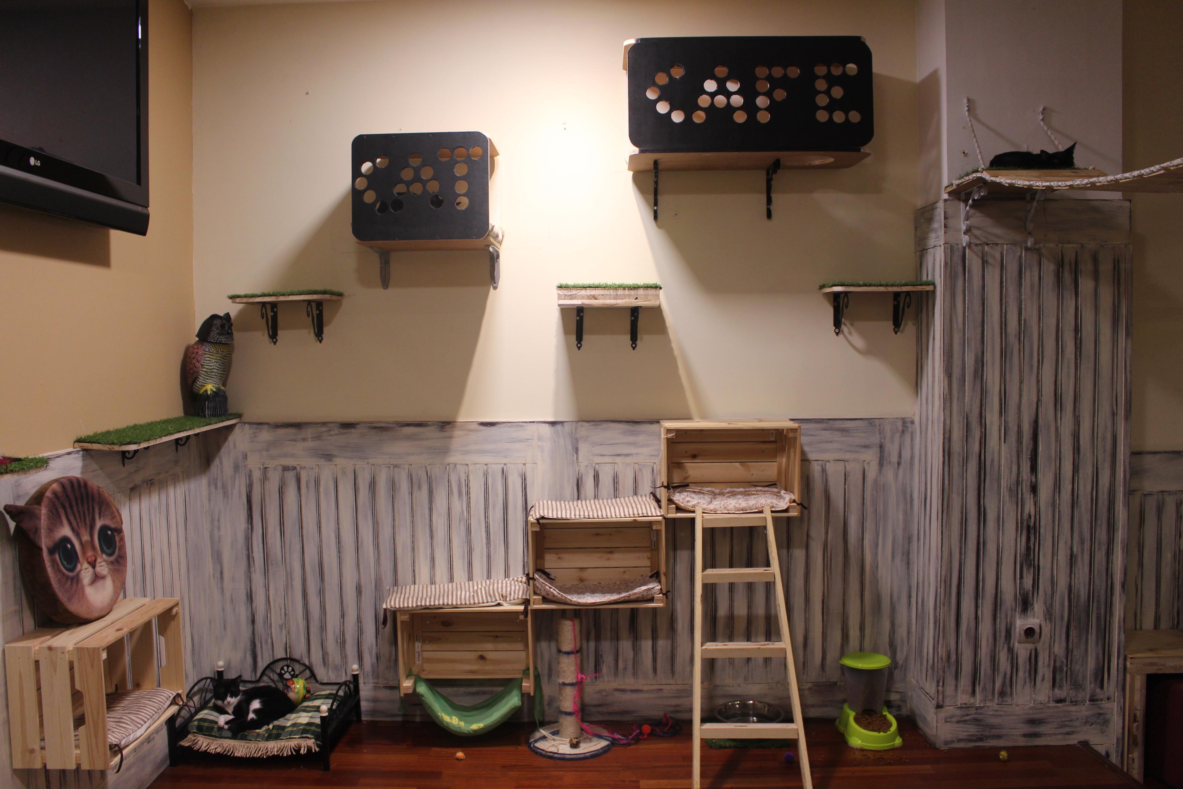 Zona adaptada para los gatos