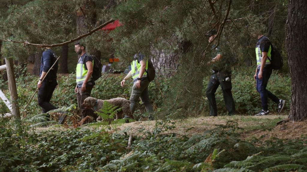 Los perros de búsqueda, con los agentes de la Guardia Civil durante este lunes.