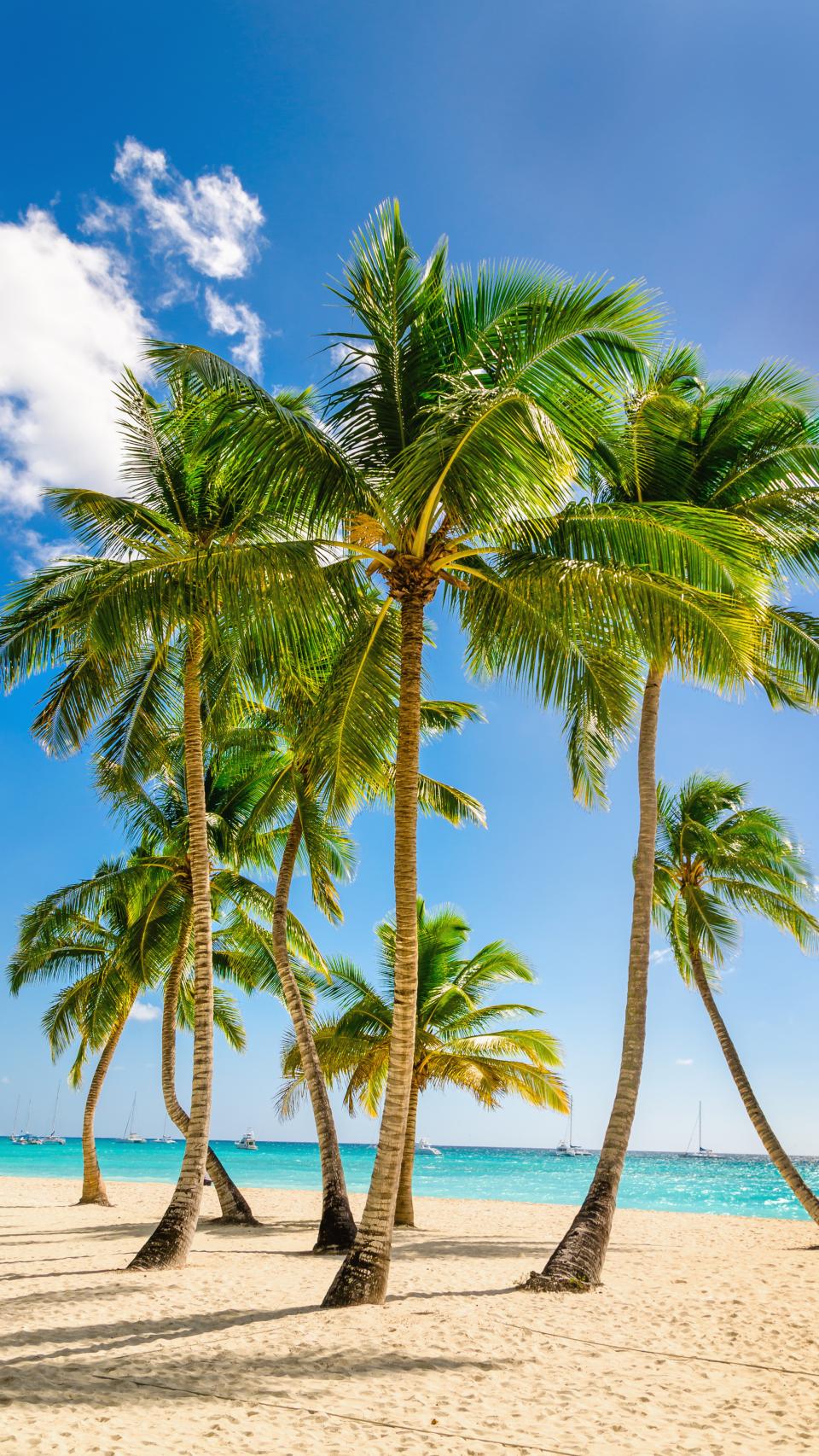 Alarga tus días de verano en República Dominicana.