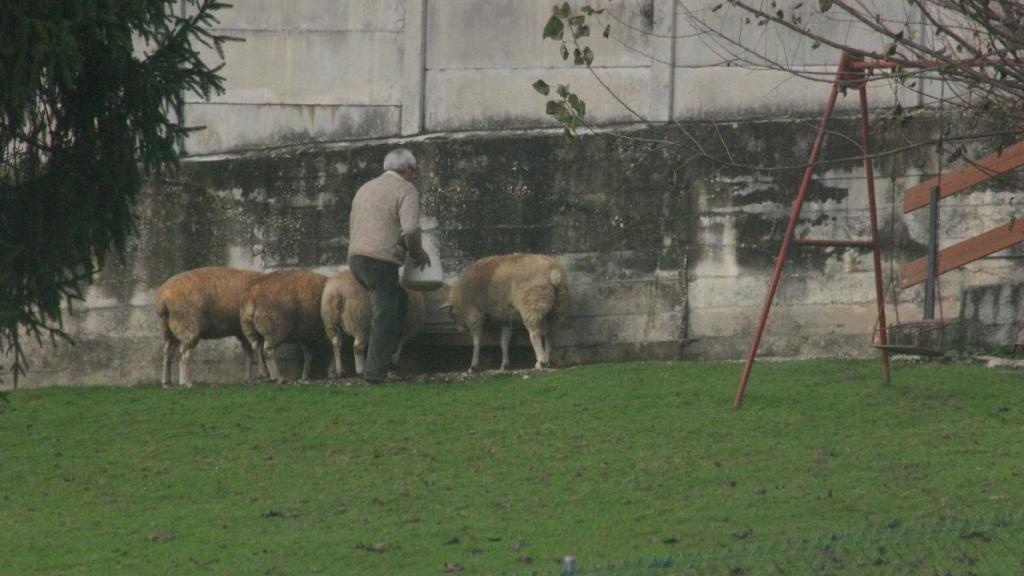 Ciudadanos denuncia la situación de una granja “irregular” en Cambre