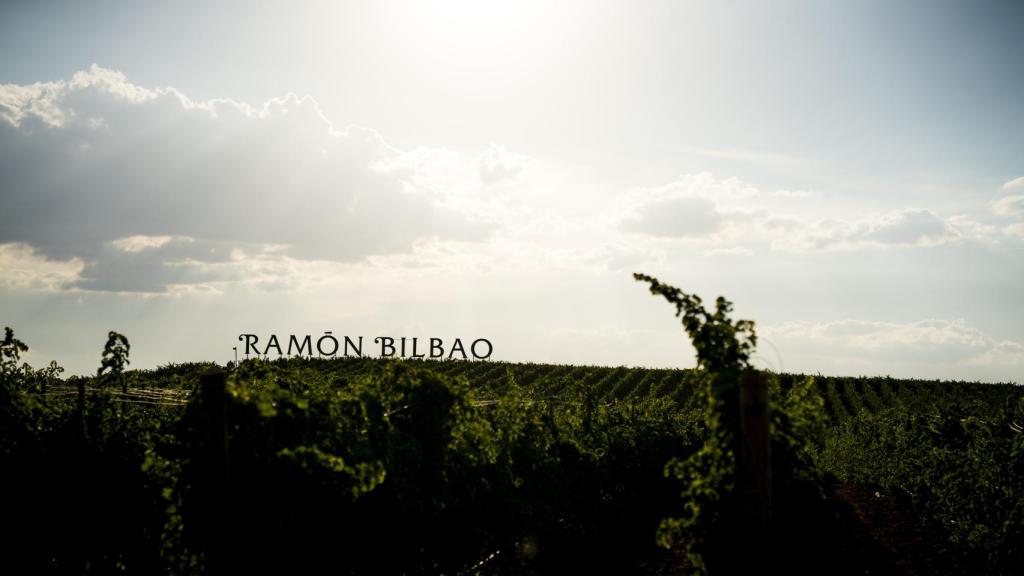 Vendimia nocturna en Ramón Bilbao.