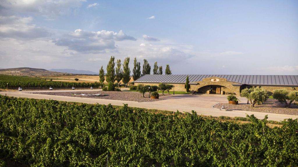 Los alrededores de la bodega alcarreña Finca Río Negro.