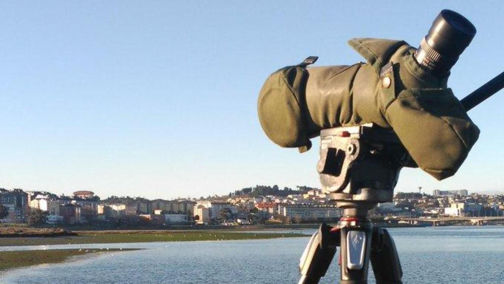 La Ría es lugar de paso de numerosas aves