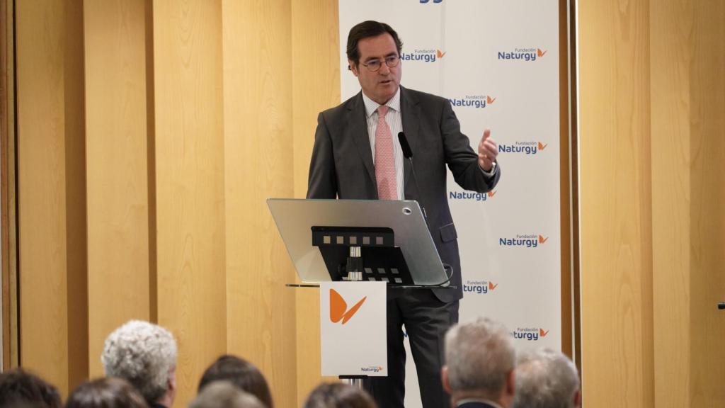 Garamendi (CEOE) califica de barbaridad los recortes de la CNMC al sector del gas