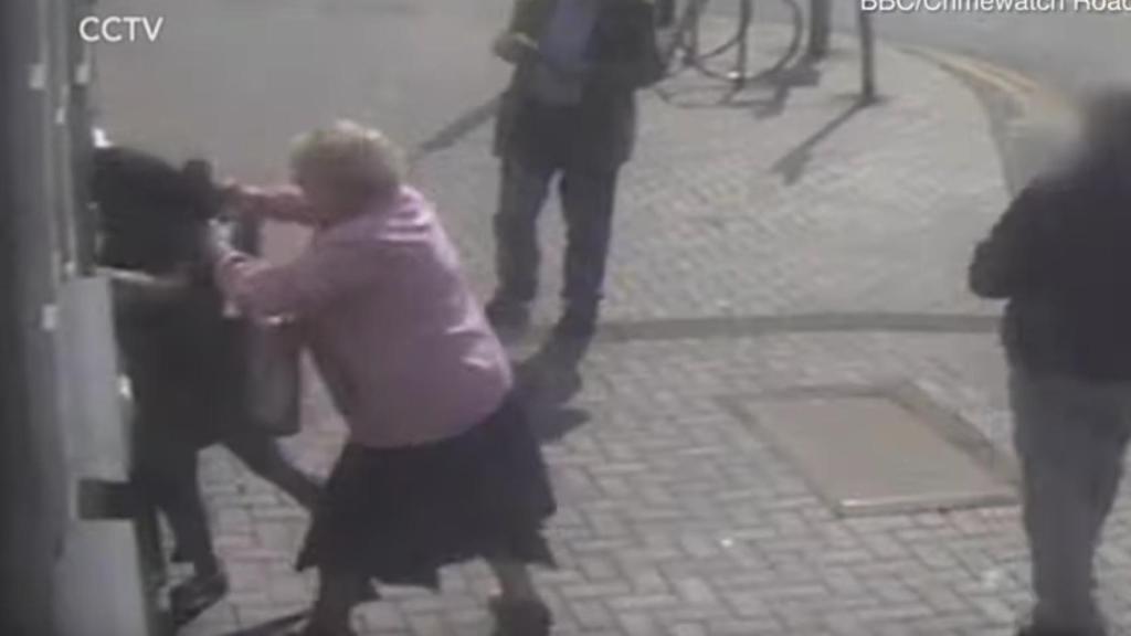 Una anciana se defiende cuanto trataban de robarle.