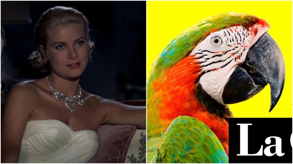 Agenda: ¿Qué hacer en A Coruña y Ferrol hoy jueves 19 de septiembre?