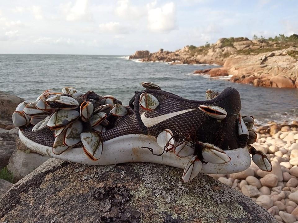 Muestra de uno de los hallazgos en una limpieza de @mardemares