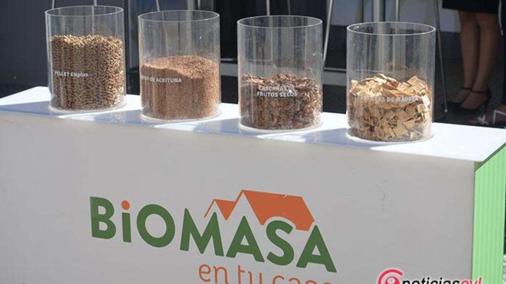 valladolid-expobiomasa-recurso3