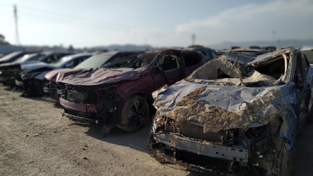 Estado desolador que presentan la mayor parte de los cerca de 1.200 vehículos de distintas marcas que el Grupo Marcos tiene en una campa.
