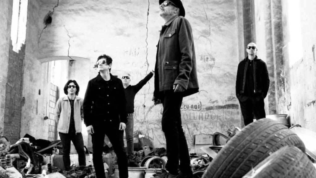 Lagartija-Nick04@antonioolmedo