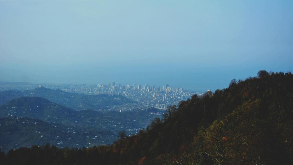 Desde el Jardín Botánico de la ciudad, se puede ver el Batumi que crece junto al Mar Muerto.