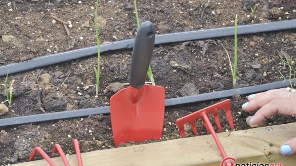 Valladolid-Huertos-adaptados-inea-08