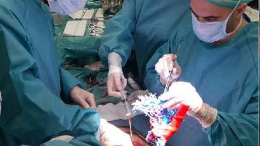 Médicos del Hospital General de Villalba interviniendo a un paciente.