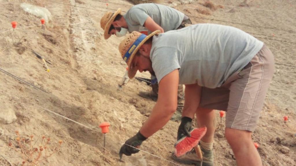 Proceso de excavación de Caraca.