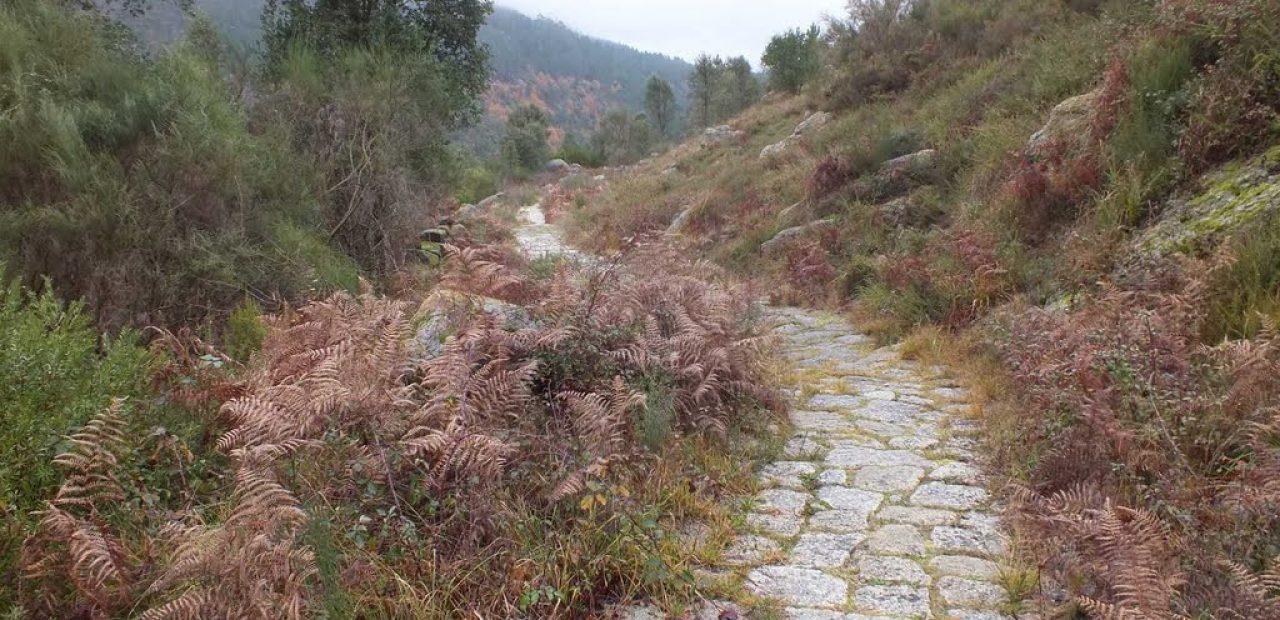 Vía Nova (historiadegalicia.gal)