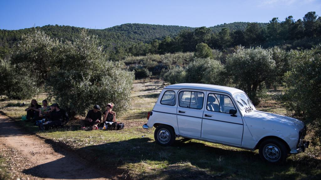 Varios jornaleros aprovechando la sombra de un árbol durante el descanso.