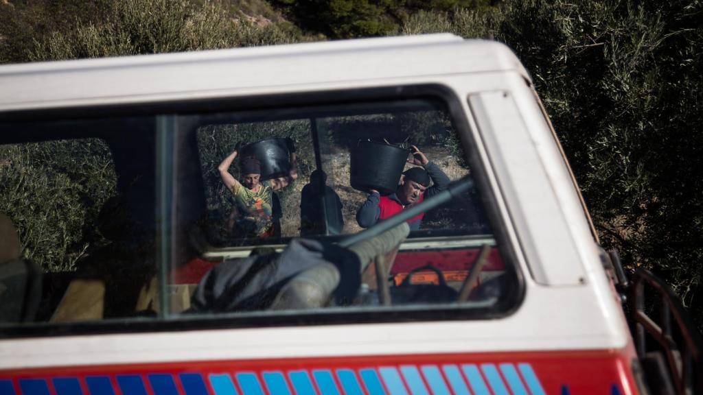 Bódalo trasladando la carga al remolque.