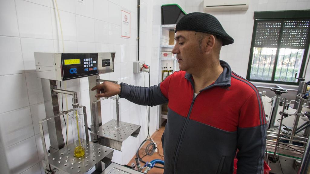 La cosecha de 2018 del aceite de 'La Resistencia' se produjo en la almazara Cruz de Esteban.