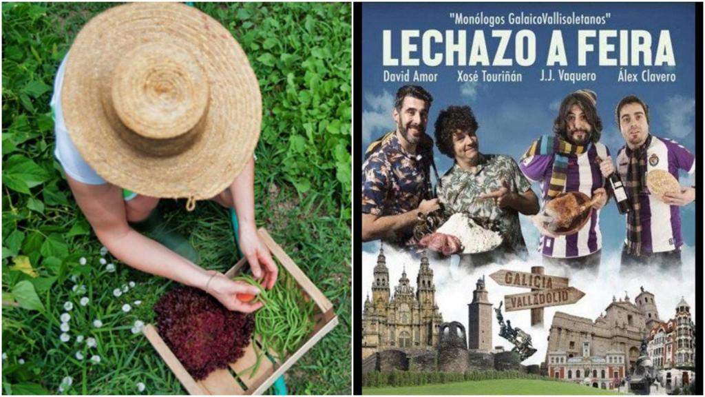 Agenda: ¿Qué hacer en A Coruña y Ferrol hoy domingo 13 de octubre?