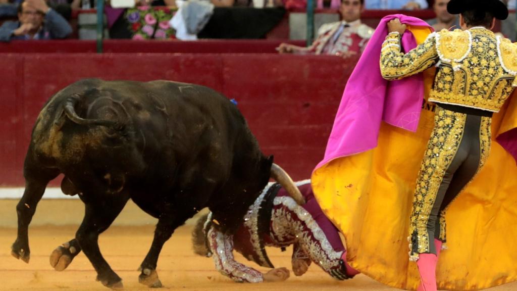 Gravísima cogida a Mariano de la Viña, banderillero de Enrique Ponce, en Zaragoza