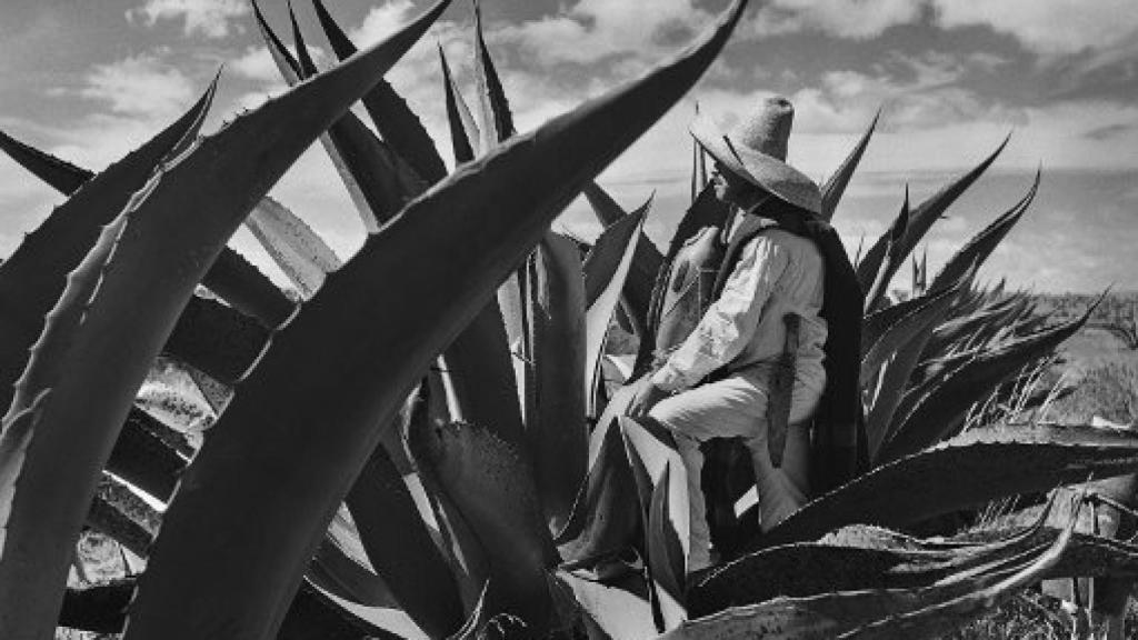 Fotografía de Rulfo durante la filmación de 'La escondida' (1955), con guion del propio Rulfo