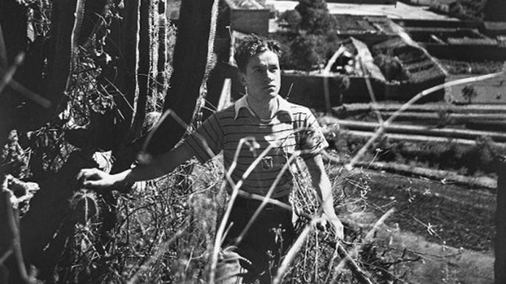 Autorretrato de Juan Rulfo