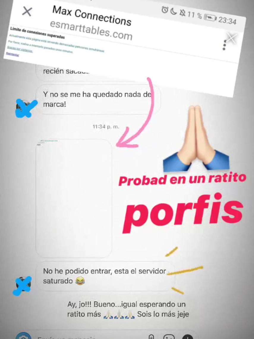 Captura del mensaje en el que le anunciaban a Verdeliss el colapso de la web.