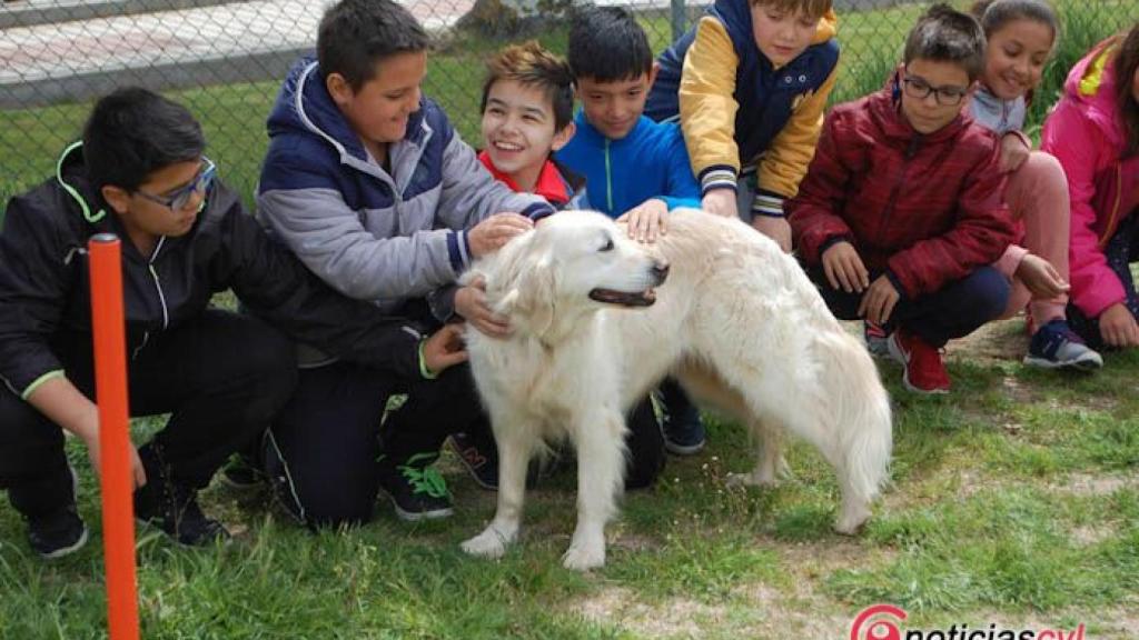 Tras sus huellas Carbajosa (6)