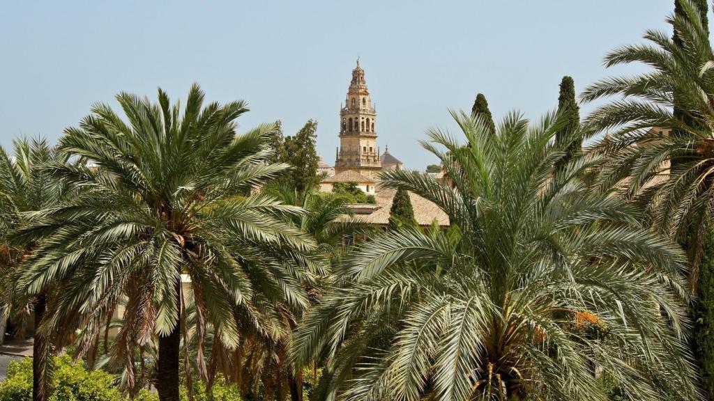Imagen de la ciudad de Córdoba.