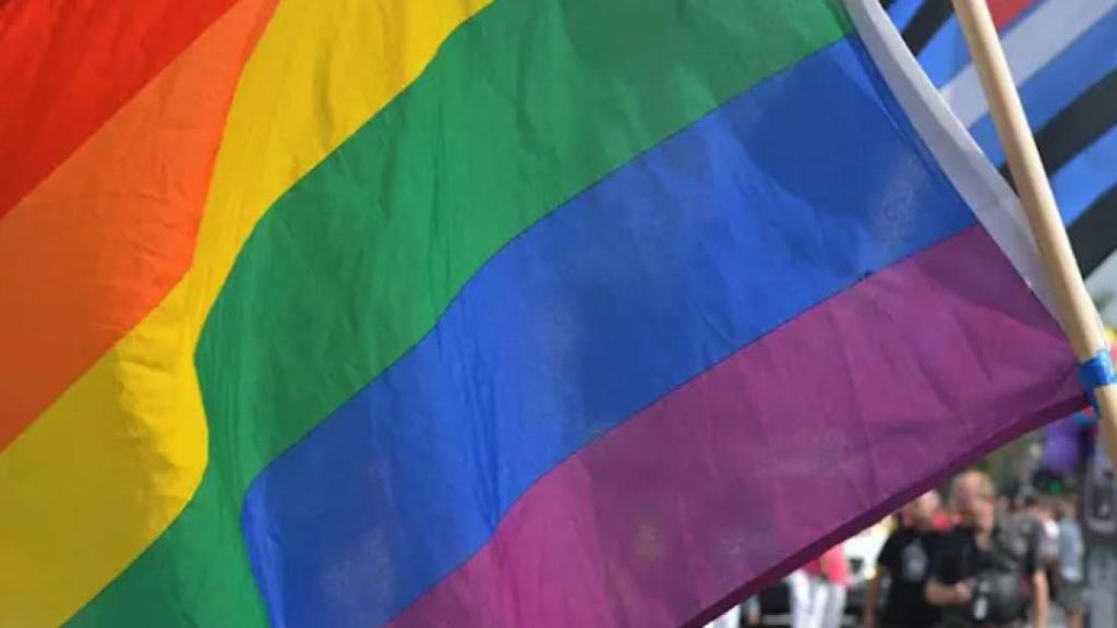 Vox no quiere banderas arcoíris en las fachadas de los ayuntamientos.