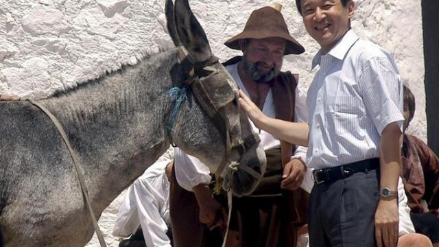 Acariciando al asno de Sancho Panza