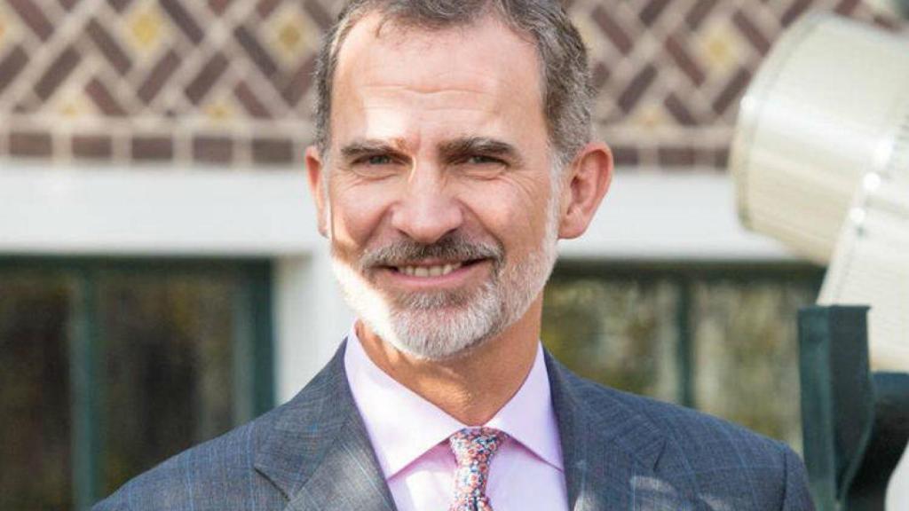 El Rey Felipe VI en una imagen de archivo