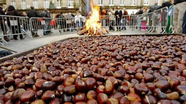 Magosto en Galicia