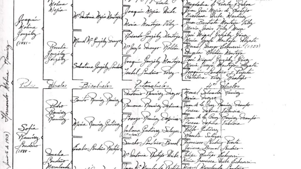 El árbol genealógico de la familia de Inés Molina.